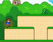 Super Steve world kostenloses Spiel