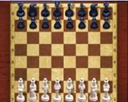 Master chess multiplayer Ball Spiel