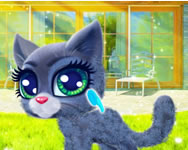 Happy cat Beste Spiel