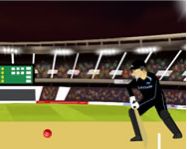 Cricket world cup HTML5 Spiel