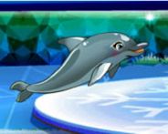 My dolphin show 8 HTML5 HTML5 Spiel