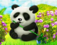 Happy panda HTML5 Spiel