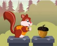 Fun with squirrels kostenloses Spiel