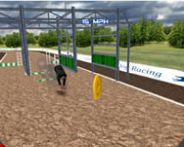 Dog racing simulator Puzzle Spiel