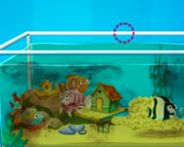 Aquarium farm HTML5 Spiel