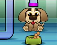 Feed my pet dog numbers Restaurant Spiel