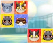 Kitten match HTML5 Spiel