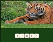 Zoo trivia HTML5 Spiel